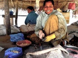 The visit of a cashew farm with a difference