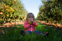 Rawfood en kinderen? 7 tips om kinderen pure smaken te leren waarderen
